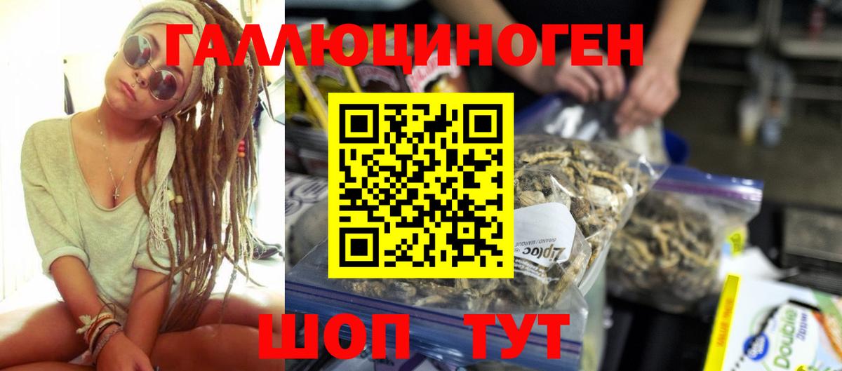 Новоалександровск  Псилоцибиновые грибы MAGIC MUSHROOMS  Псилоцибиновые грибы Psilocybe  Вход с VPN 