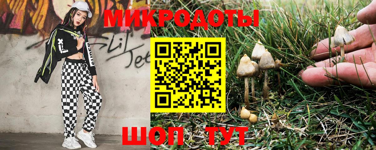 Псилоцибиновые грибы мухоморы Новоалександровск