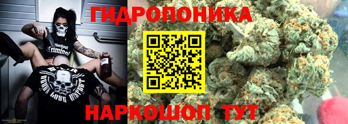 Псилоцибиновые грибы Новоалександровск